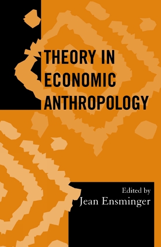 Theory in Economic Anthropology - Society for Economic Anthropology Monograph Series 18 (Hardback)