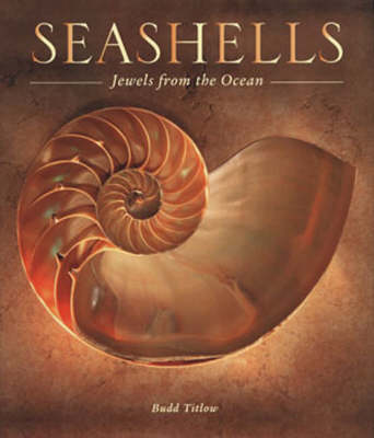 Seashells: Jewels from the Ocean (Hardback)