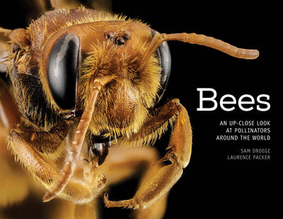 Bees: An Up-Close Look at Pollinators Around the World (Hardback)