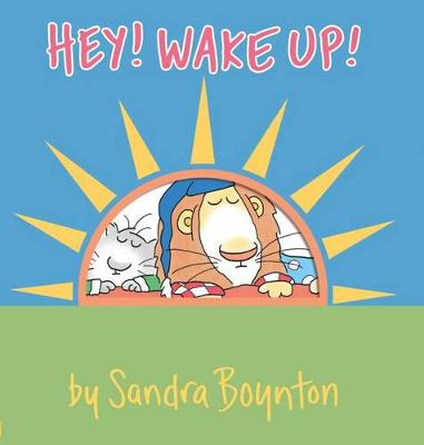 Hey Wake Up (Board book)