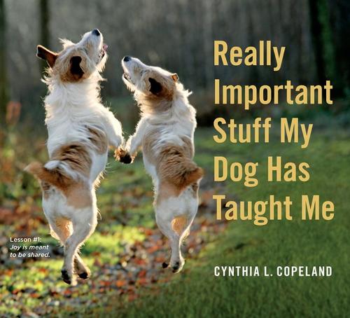 Really Important Stuff My Dog Has Taught Me: Less Bark, More Wag (Paperback)