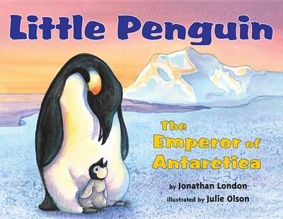 Little Penguin: The Emperor of Antarctica (Hardback)