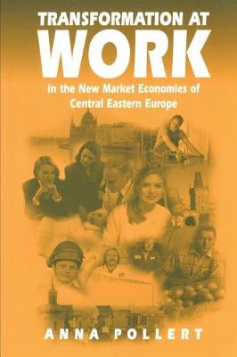 Transformation at Work: In the New Market Economies of Central Eastern Europe - Industrial Management series (Paperback)