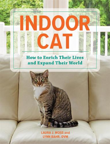 Indoor Cat: How to Enrich their Lives and Expand their World (Hardback)