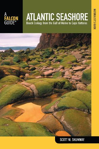Naturalist's Guide to the Atlantic Seashore: Beach Ecology From The Gulf Of Maine To Cape Hatteras - Naturalist's Guide Series (Paperback)