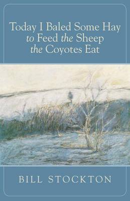 Today I Baled Some Hay to Feed the Sheep the Coyotes Eat (Paperback)