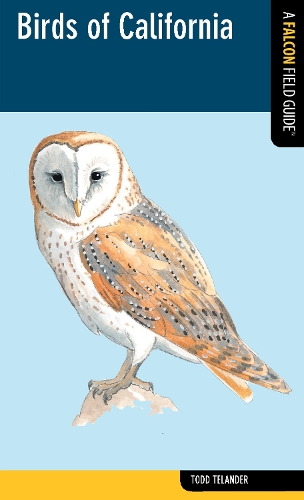 Birds of California - Falcon Field Guide Series (Paperback)