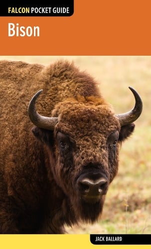 Bison - Falcon Pocket Guides (Paperback)