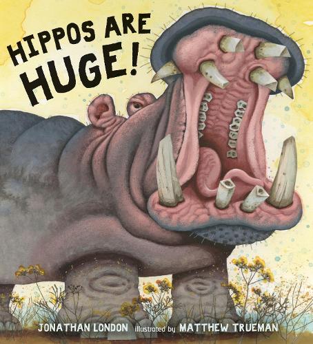 Hippos Are Huge! (Hardback)