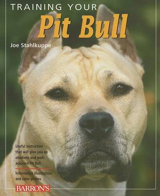 Training Your Pit Bull - Training Your Dog (Paperback)