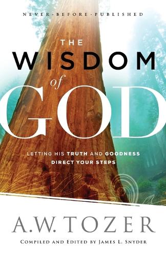 The Wisdom of God: Letting His Truth and Goodness Direct Your Steps (Paperback)
