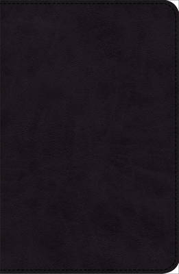 KJV Pray the Scriptures Bible Black Duravella (Leather / fine binding)