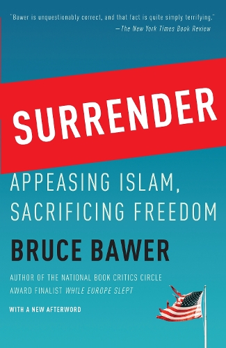 Surrender (Paperback)