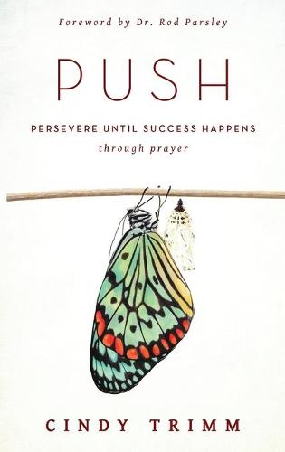 Push (Hardback)