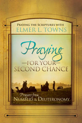 Praying for Your Second Chance: Prayers from Deuteronomy & Numbers (Paperback)