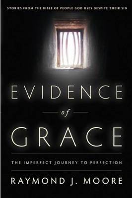 Evidence of Grace: The Imperfect Journey to Perfection (Paperback)