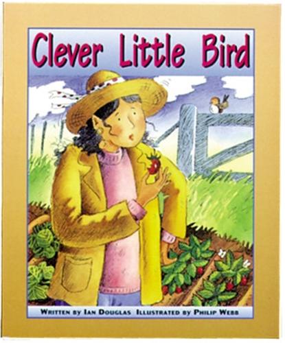 Clever Little Bird: Set C Emergent Guided Readers - Storyteller Setting Sun (Paperback)