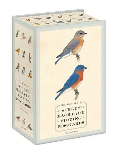 Sibley Backyard Birding Postcards: 100 Postcards - Sibley Birds