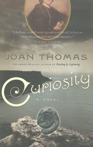 Curiosity (Paperback)