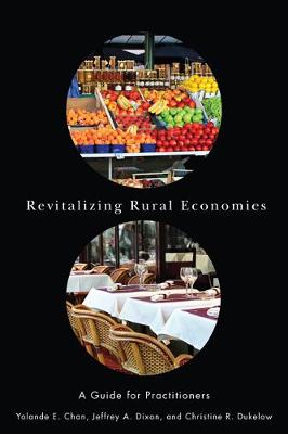 Revitalizing Rural Economies: A Guide for Practitioners (Hardback)
