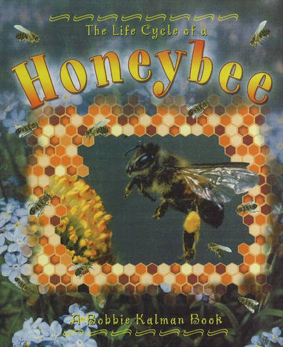 The Life Cycle of a Honeybee - Life Cycle (Hardback)