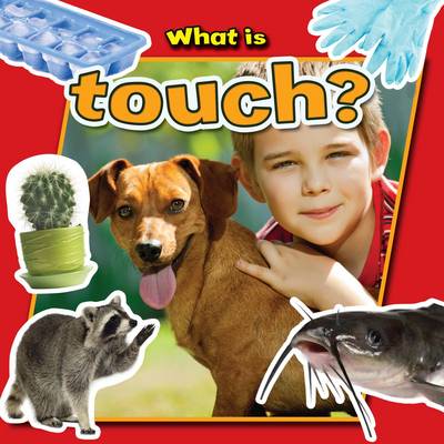 What is Touch? - Senses Close-Up (Paperback)