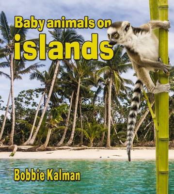 Baby Animals on Islands - Habitats of Baby Animals (Paperback)