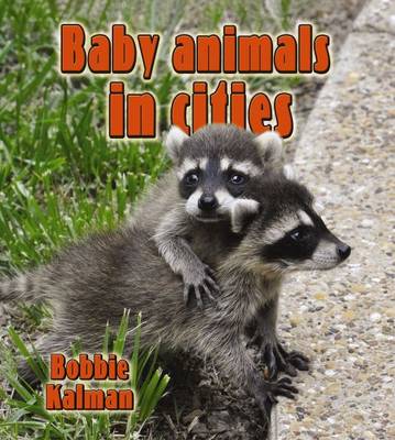 Baby Animals in Cities - The Habitats of Baby Animals (Paperback)