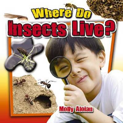 Where do insects live? - Insects Close-Up (Paperback)