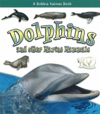 Dolphins and other Marine Mammals - What Kind of Animal Is It? (Hardback)