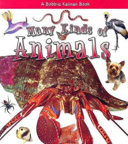 Many Kinds of Animals - What Kind of Animal is It? S. (Paperback)