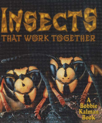 Insects That Work Together - World of Insects (Hardback)