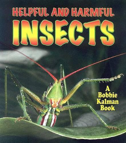 Helpful and Harmful Insects - World of Insects S. (Paperback)