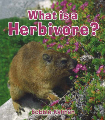 What is a Herbivore? (Hardback)