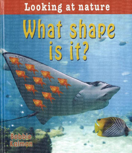 What Shape is It? (Hardback)