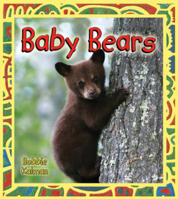 Baby Bears - Its Fun to Learn About Baby Animals (Hardback)