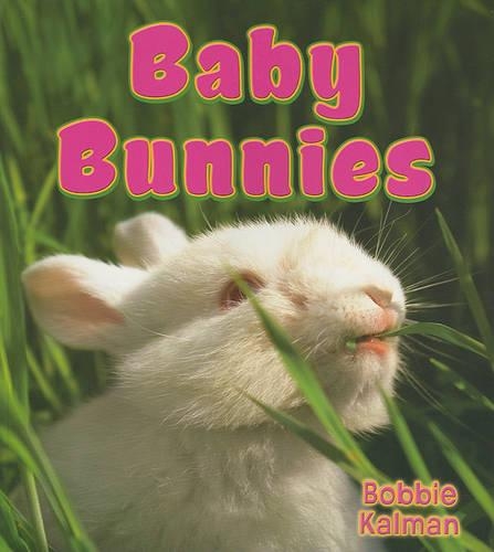 Baby Bunnies - It's Fun to Learn about Baby Animals (Library) (Paperback)