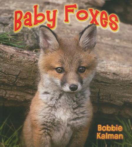 Baby Foxes - It's Fun to Learn about Baby Animals (Library) (Paperback)