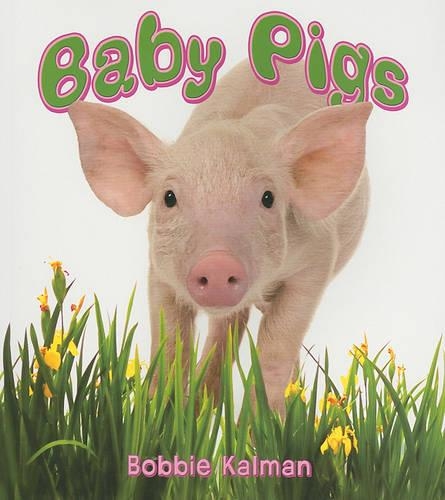 Baby Pigs - It's Fun to Learn about Baby Animals (Library) (Paperback)