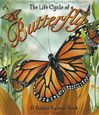 Life Cycle of a Butterfly - Life Cycle