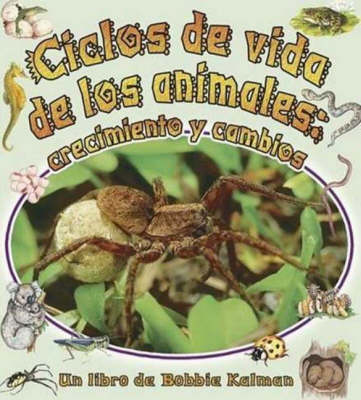 Ciclos de Vida de Los Animales (Paperback)