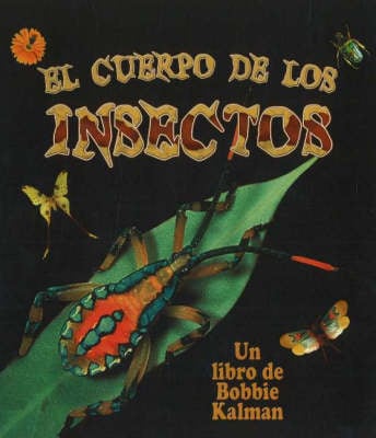 El Cuerpo de Los Insectos (Insect Bodies) (Hardback)