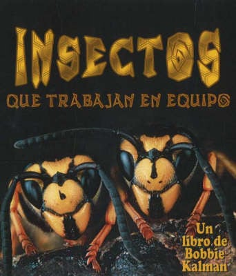 Insectos Que Trabajan En Equipo (Insects That Work Together) (Hardback)