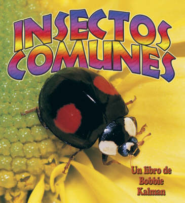 Insectos Comunes (Hardback)