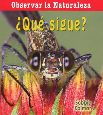 Que Sigue? (Hardback)