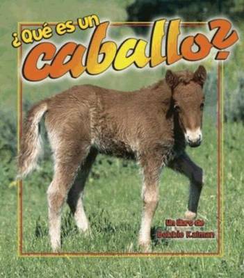 Que es un Caballo? - Science of Living Things S. (Hardback)