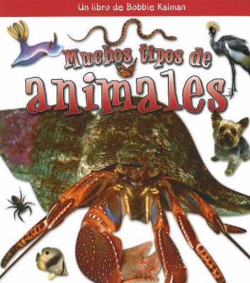 Muchos Tipos de Animales (Many Kinds of Animals) (Hardback)
