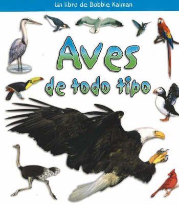 Aves de Todo Tipo (Birds of All Kinds) (Paperback)