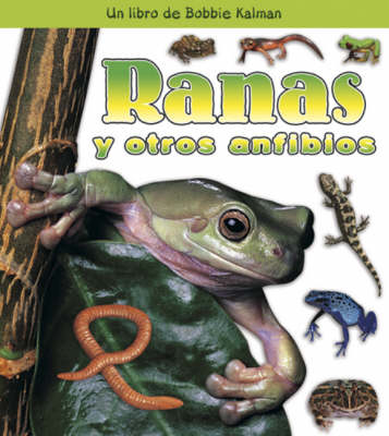 Ranas y Otros Anfibios (Paperback)