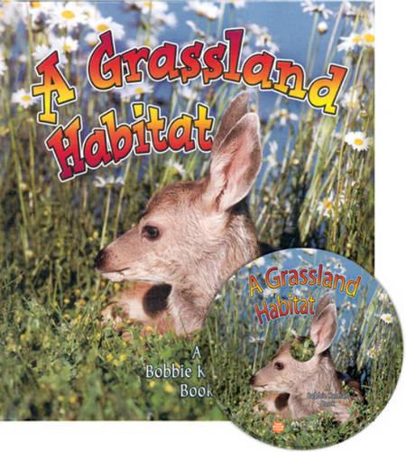 A Grassland Habitat - Introducing Habitats S.